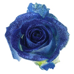 Avalanche Crystal Look Blue Rose