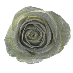 Avalanche Crystal Look Silver Rose