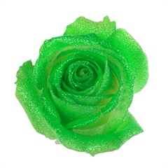 Avalanche Glitter Look Green Rose