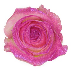 Avalanche Glitter Look Violet Rose