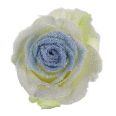 Avalanche Snowy Mountain Blue Roses
